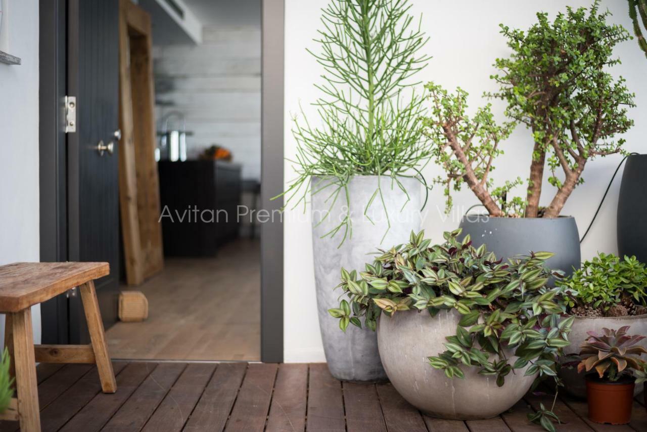 Avitan Premium & Luxury Villas Costa Adeje  Zewnętrze zdjęcie